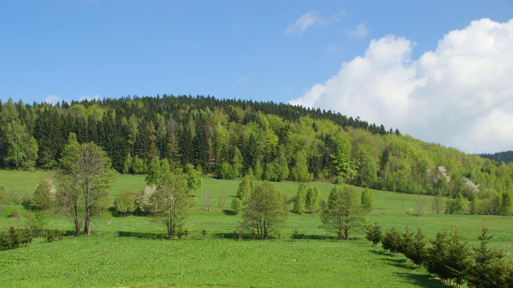 Villa La Val, Karkonosze Szarocin Εξωτερικό φωτογραφία